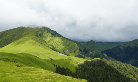 Ali Bedni Bugyal